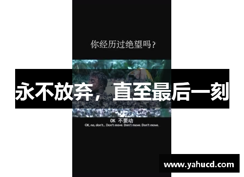 永不放弃，直至最后一刻